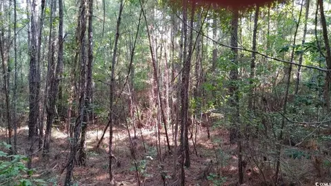 0 Sarah Dr, Georgetown, SC 29440 photo 2