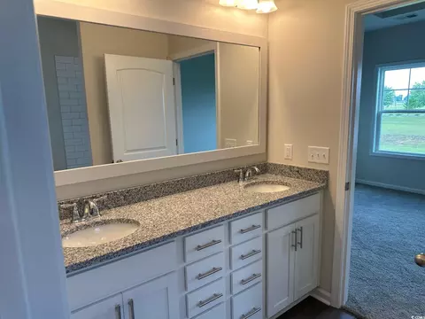 440 Honeyhill Loop, Conway, SC 29526 photo 20
