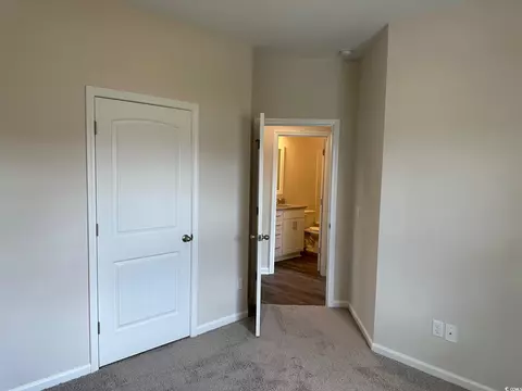 440 Honeyhill Loop, Conway, SC 29526 photo 12