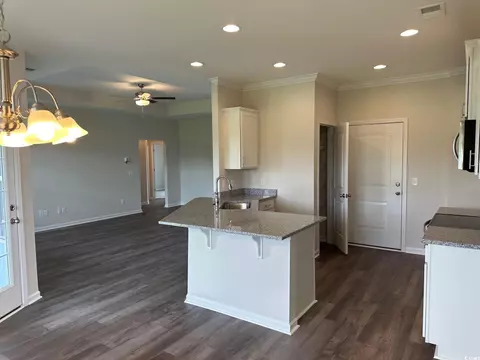 440 Honeyhill Loop, Conway, SC 29526 photo 7