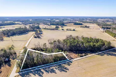 Tbd Pleasant View Church Rd., Nichols, SC 29581
