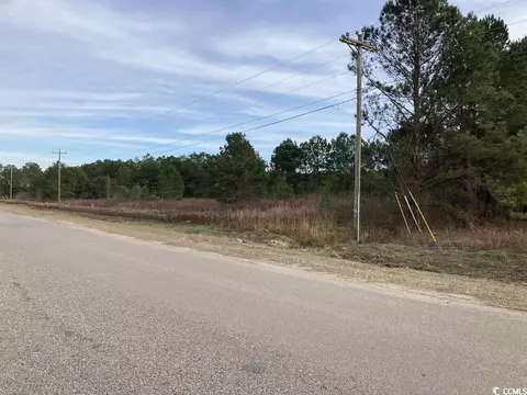 Tbd Chestnut Rd., Longs, SC 29568 photo 4