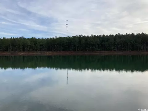Tbd Chestnut Rd., Longs, SC 29568 photo 6
