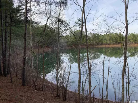 Tbd Chestnut Rd., Longs, SC 29568 photo 13