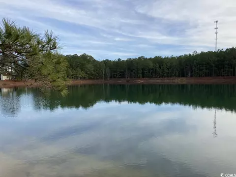 Tbd Chestnut Rd., Longs, SC 29568 photo 7