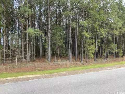 Tbd Chestnut Rd., Longs, SC 29568 photo 2