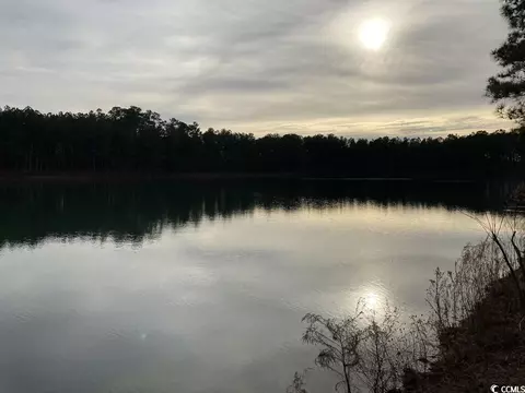 Tbd Chestnut Rd., Longs, SC 29568 photo 5