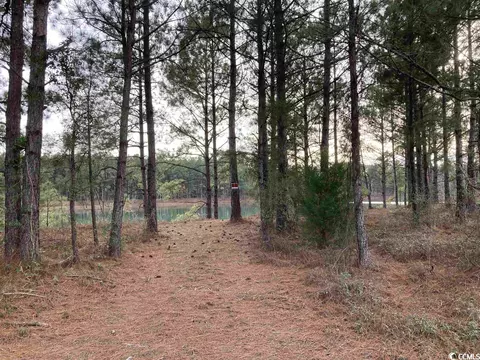 Tbd Chestnut Rd., Longs, SC 29568 photo 8