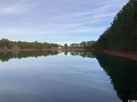 Tbd Chestnut Rd., Longs, SC 29568 photo 11