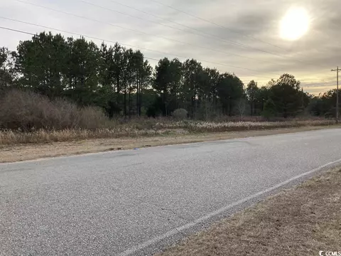 Tbd Chestnut Rd., Longs, SC 29568 photo 3