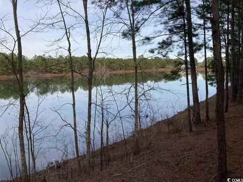 Tbd Chestnut Rd., Longs, SC 29568 photo 12