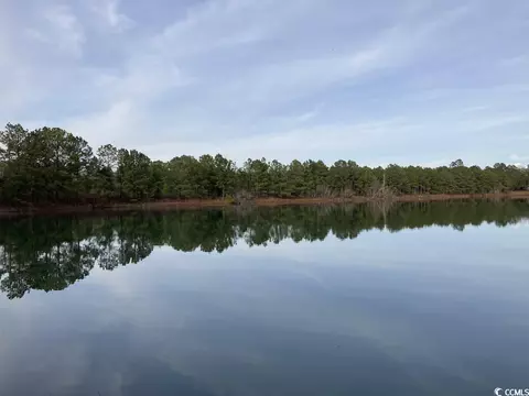 Tbd Chestnut Rd., Longs, SC 29568 photo 10