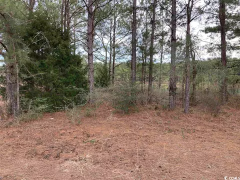 Tbd Chestnut Rd., Longs, SC 29568 photo 9