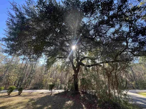 511 Summit Ave, Georgetown, SC 29440 photo 8