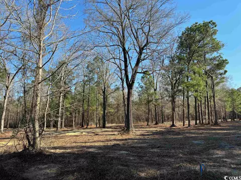 Tbd Red Breast Ct., Gresham, SC 29546 photo 3
