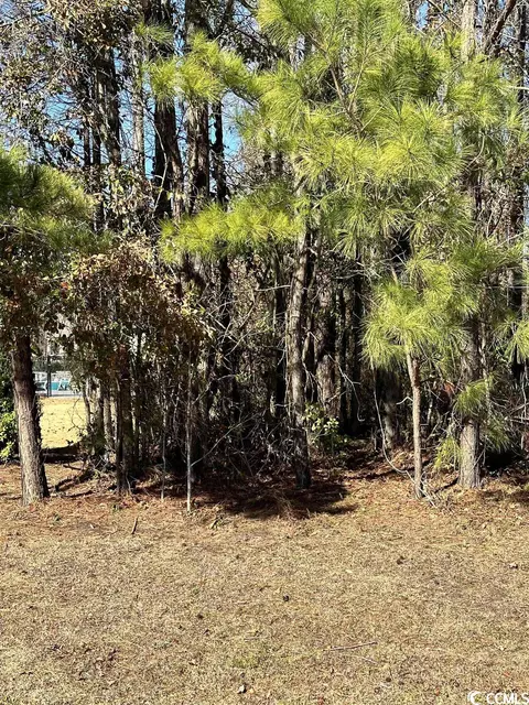 9774 Anchor Dr, Longs, SC 29568