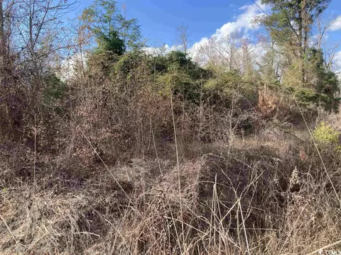 Tract D Evans Rd., Johnsonville, SC 29555