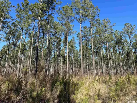 Tbd Seaboard Rd., Lane, SC 29564