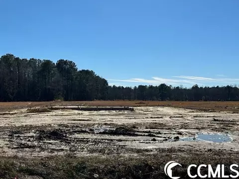 6726 Highway 366, Conway, SC 29526
