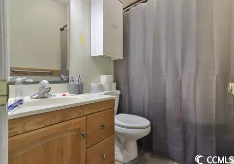 309 Cedar Ln, Conway, SC 29527 photo 19