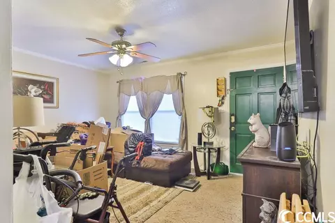 309 Cedar Ln, Conway, SC 29527 photo 2