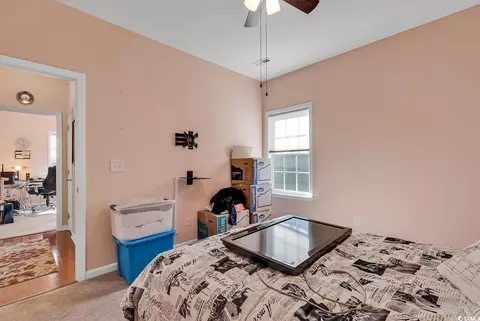 335 Pickney Ct, Conway, SC 29526 photo 18