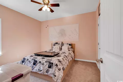 335 Pickney Ct, Conway, SC 29526 photo 17