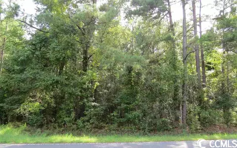 1095 Wild Rose Dr, Manning, SC 29102