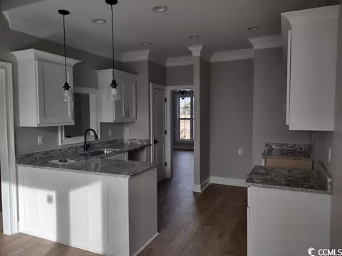 14575 Swamp Fox Hwy W, Fair Bluff, NC 28439 photo 8