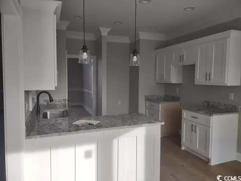 14575 Swamp Fox Hwy W, Fair Bluff, NC 28439 photo 9