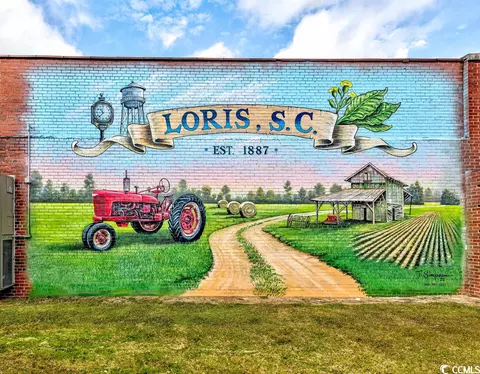 3514 Carter Rd, Loris, SC 29569 photo 31