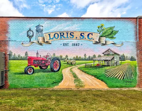 3514 Carter Rd, Loris, SC 29569 photo 31
