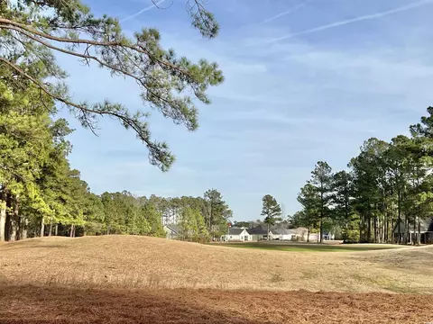 Exterior - 370 Long Meadow Dr, Loris, SC 29569 photo 3 of 3