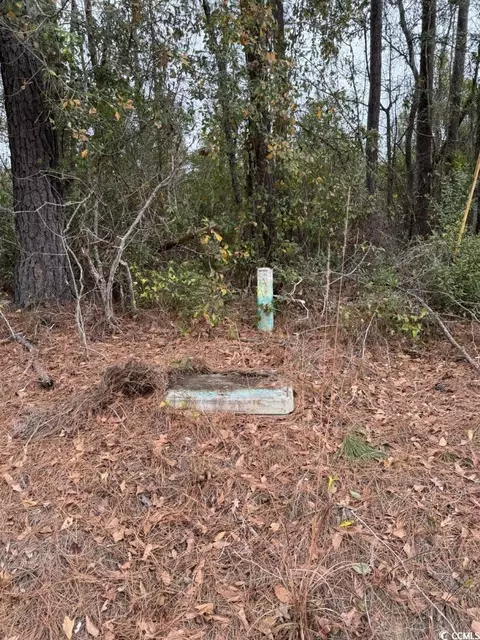 Tbd Bucksville Dr., Conway, SC 29527