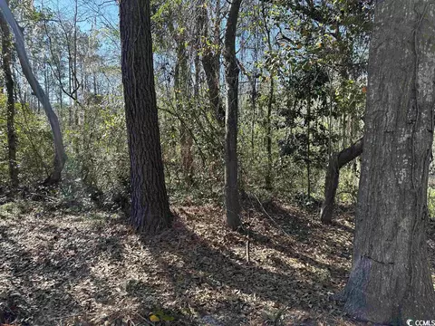 47 Pool Pl #62, Georgetown, SC 29440 photo 15