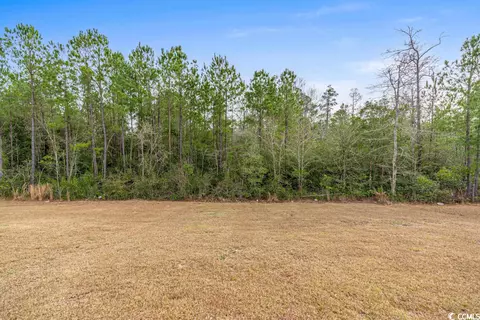 245 Cypress Tree Loop, Longs, SC 29568 photo 29