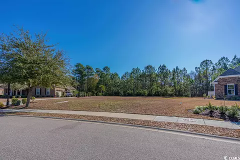 1011 Black Skimmer Dr, Conway, SC 29526