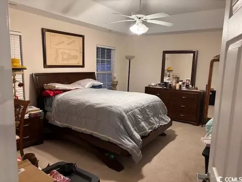 924 Leather Leaf Ln, Longs, SC 29568 photo 18