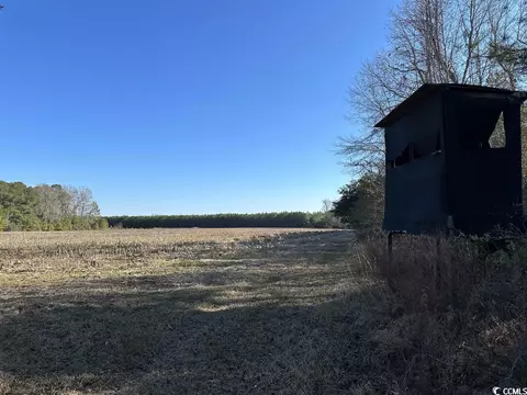 Tbt Eddie Woods Rd., Greeleyville, SC 29056