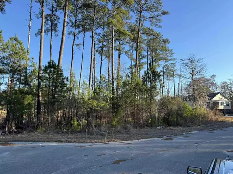 148 Black Harbor Dr, Conway, SC 29526
