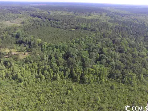 1 Choppee Rd, Georgetown, SC 29440 photo 12