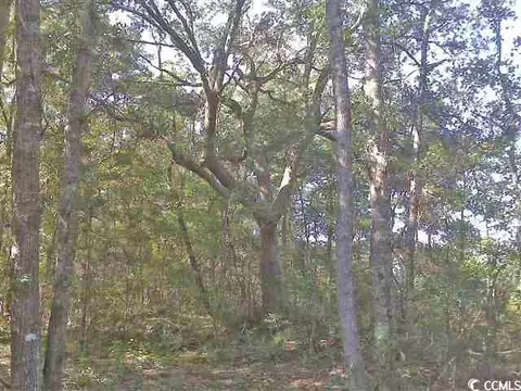 1 Choppee Rd, Georgetown, SC 29440 photo 2