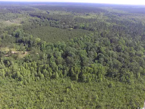 1 Choppee Rd, Georgetown, SC 29440 photo 12