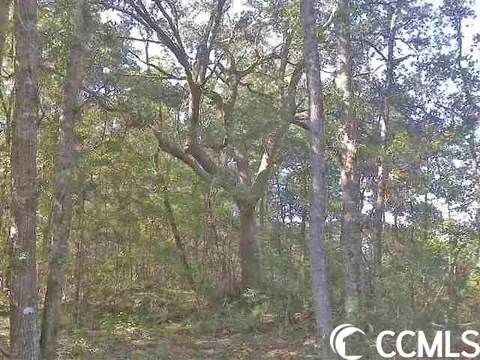 1 Choppee Rd, Georgetown, SC 29440 photo 2