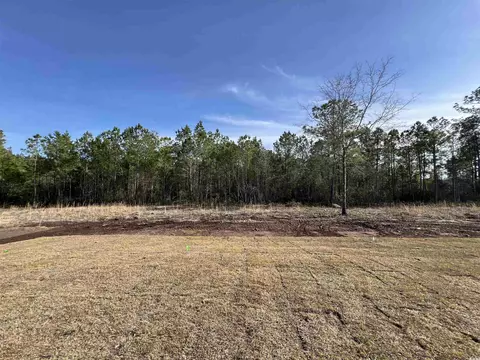 1882 Hardwick Rd, Conway, SC 29526 photo 3