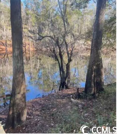 Tbd Lot #3 Sto Old Camp Rd., Salters, SC 29590