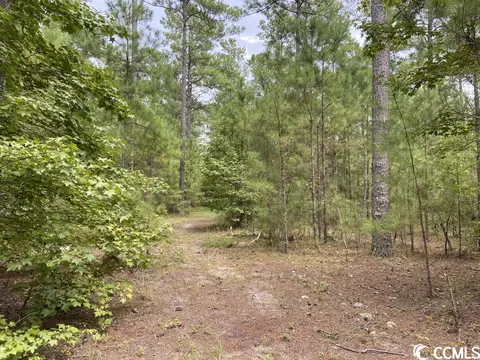 Tbd Highway 746, Loris, SC 29569 photo 11