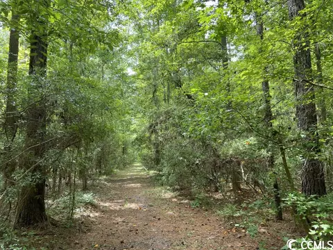 Tbd Highway 746, Loris, SC 29569 photo 5