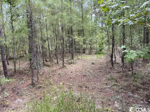 Tbd Highway 746, Loris, SC 29569 photo 10