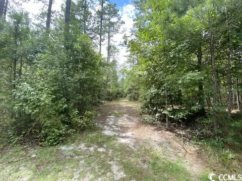 Tbd Highway 746, Loris, SC 29569 photo 19